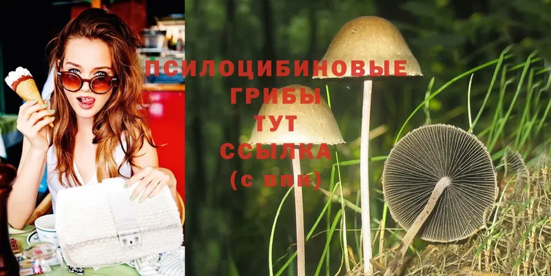 Галлюциногенные грибы Magic Shrooms  Ишимбай 